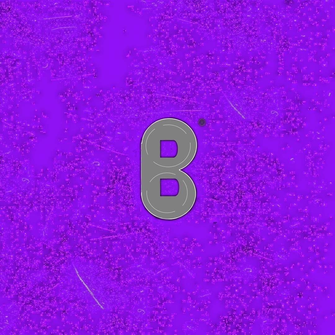 BigNews Logo